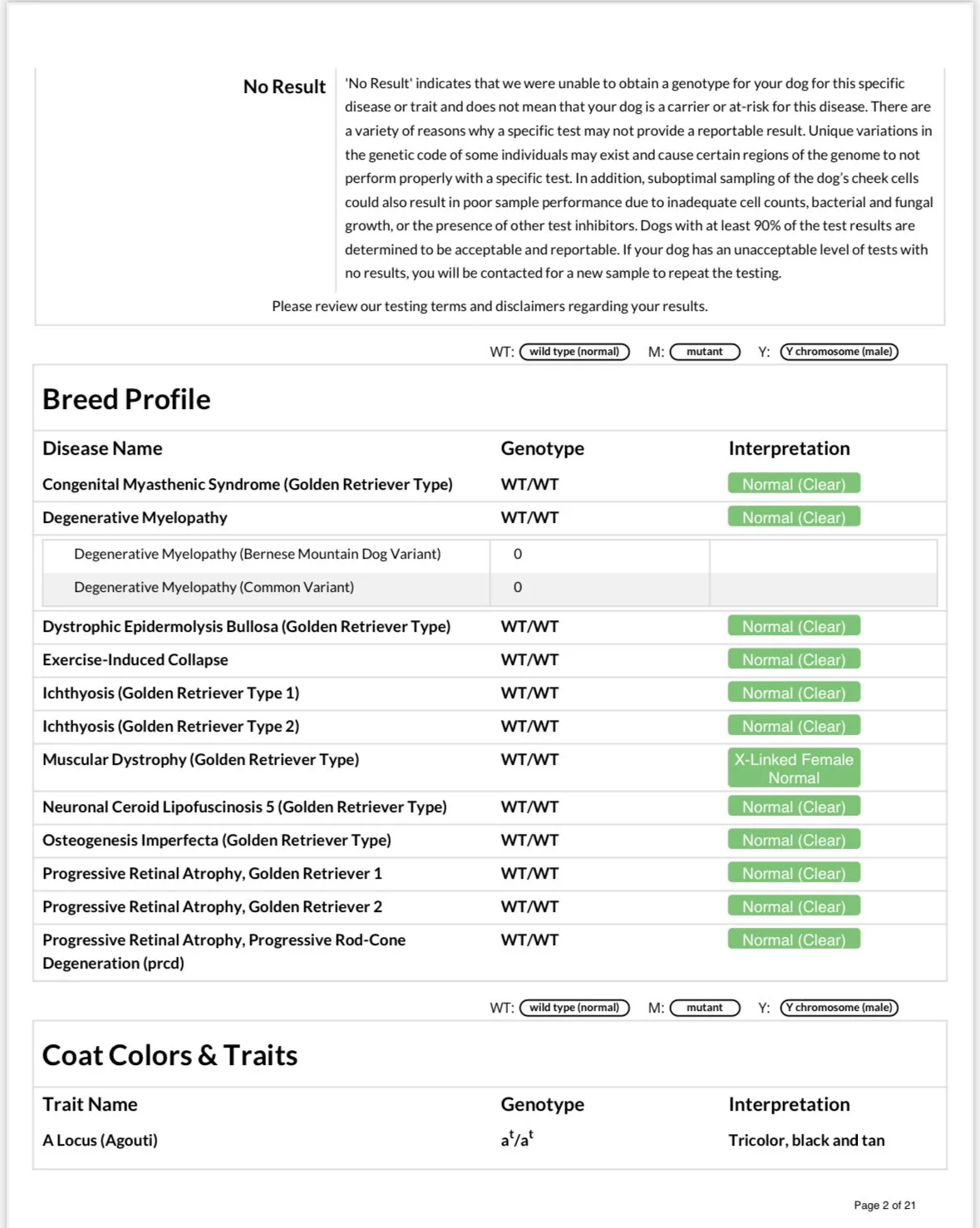 Dog genetic test results showing disease and trait genotypes, interpretations, and coat colors.