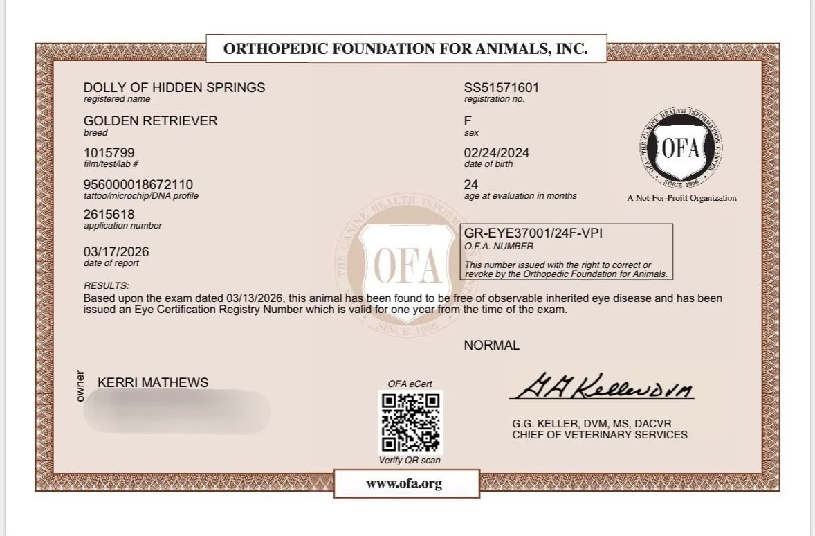 IMG_20260326_093555 (1).jpeg