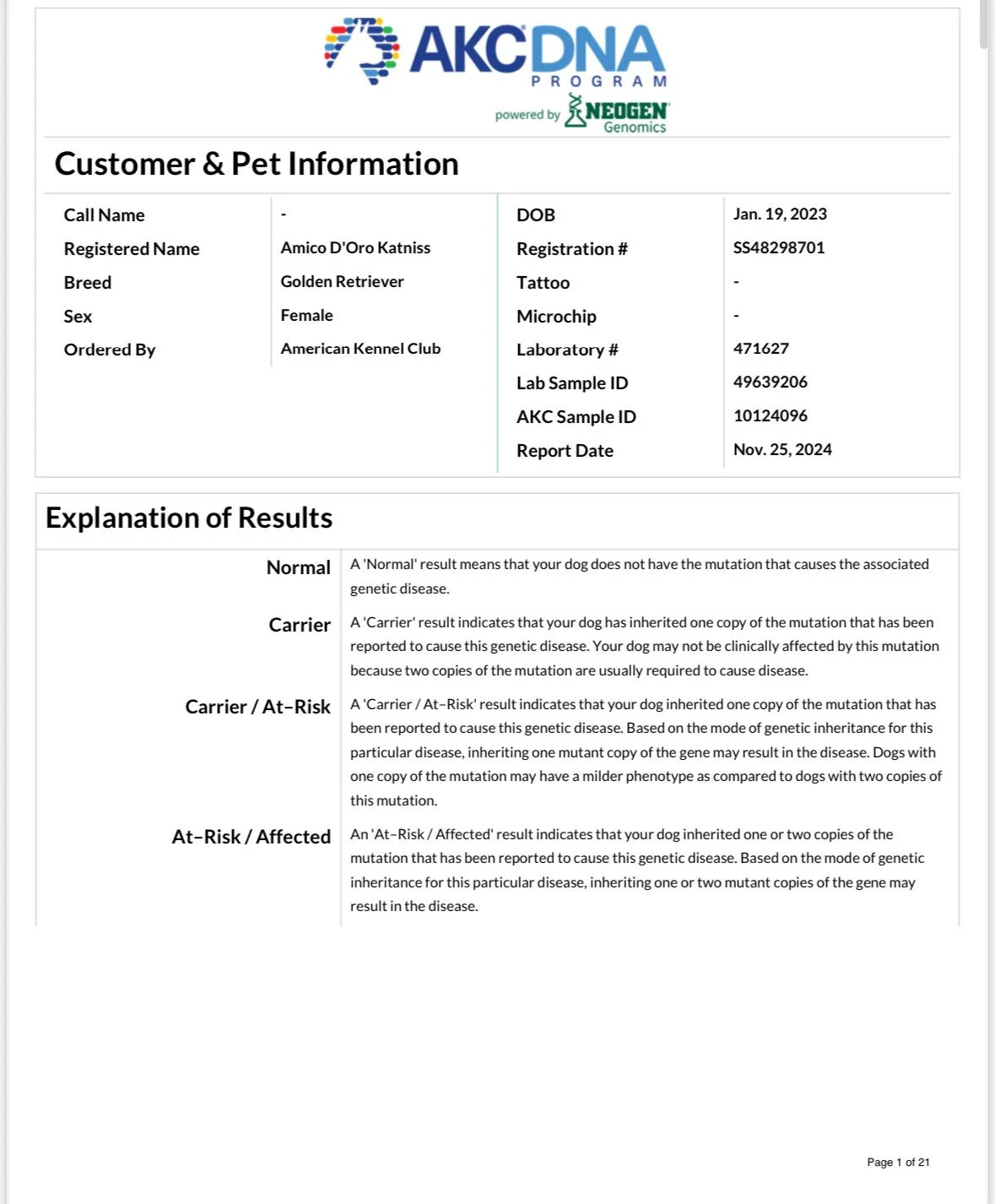Document from the AKC DNA Program showing customer and pet information for a Golden Retriever named Amico D'Oro Katniss. It includes registration details, microchip and lab numbers, and a summary of genetic testing results. The explanation section de