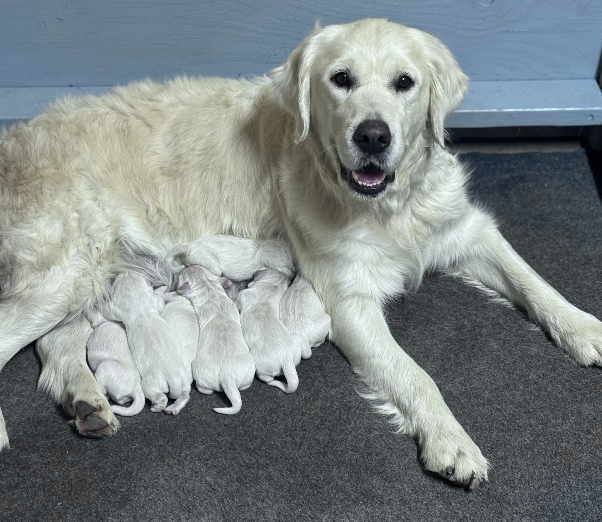 Montana with her babies right after they were born. 1/01/26