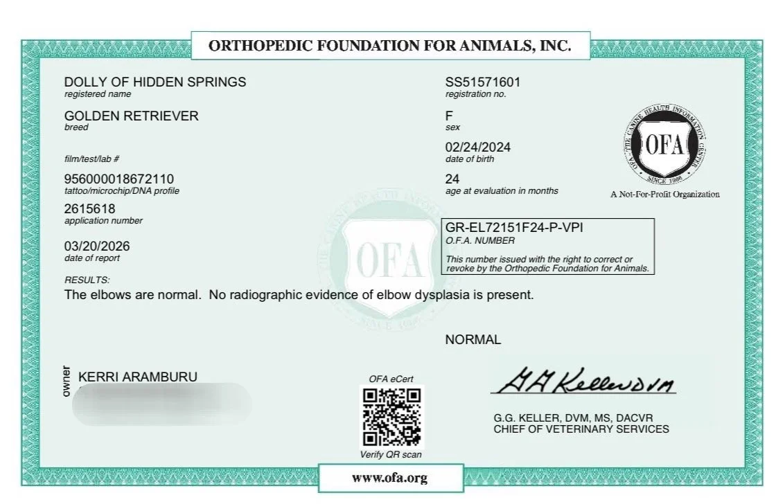 IMG_20260326_093555 (3).jpeg