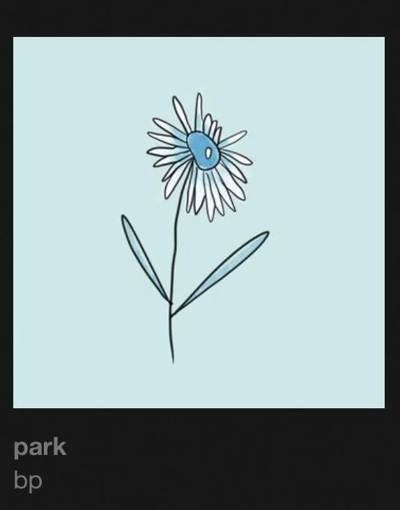 Portfolio — Shay Brown