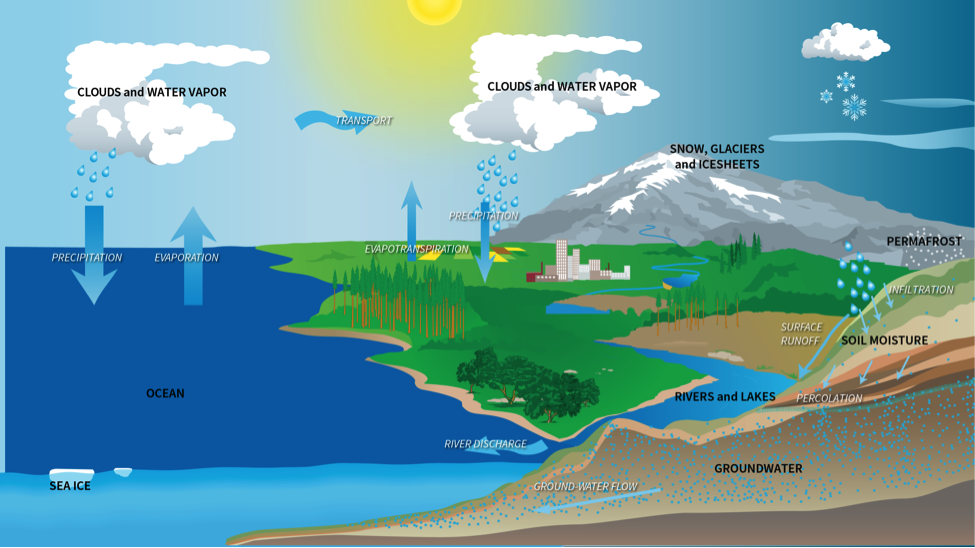 Watercycle.png