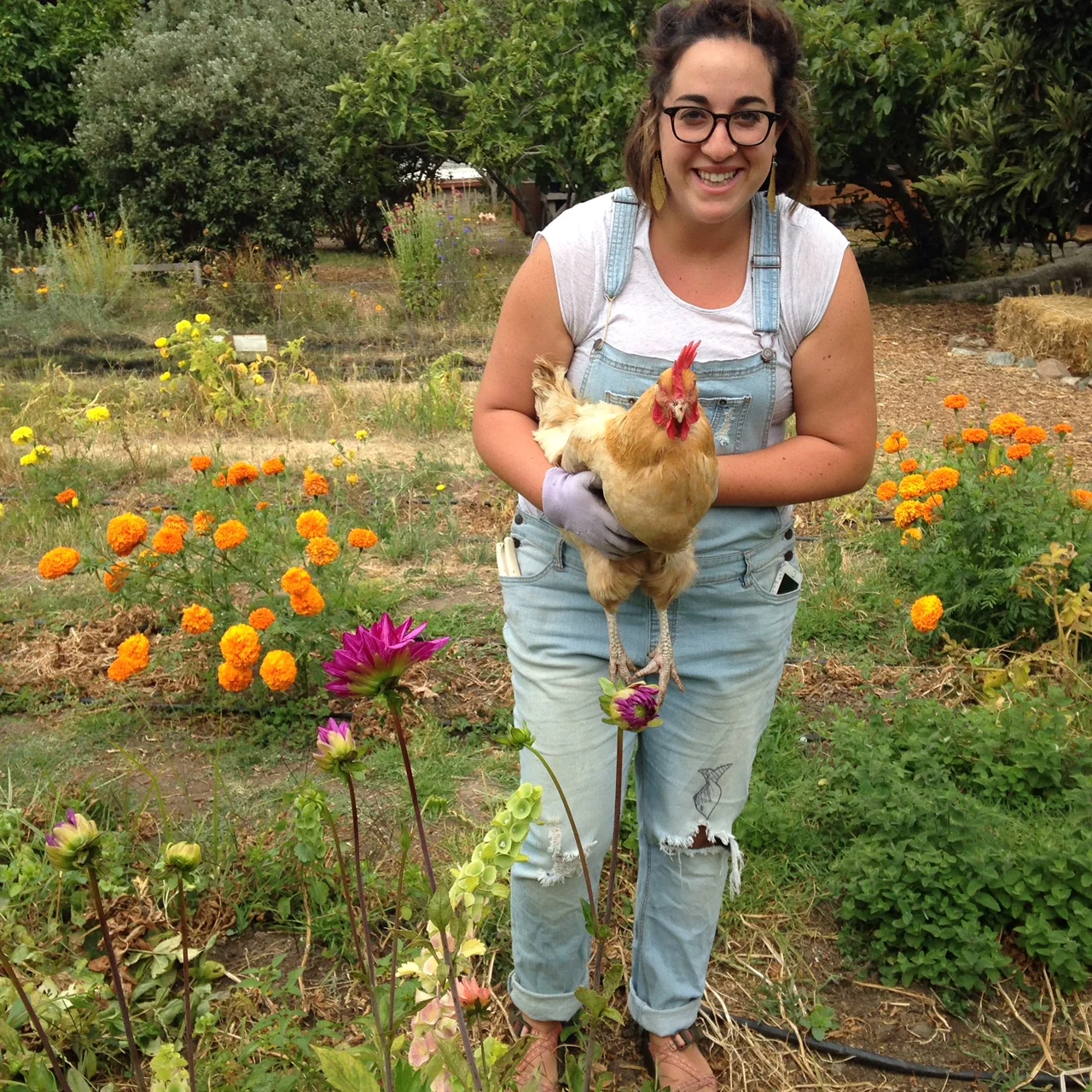 Protecting Our Ecosystem