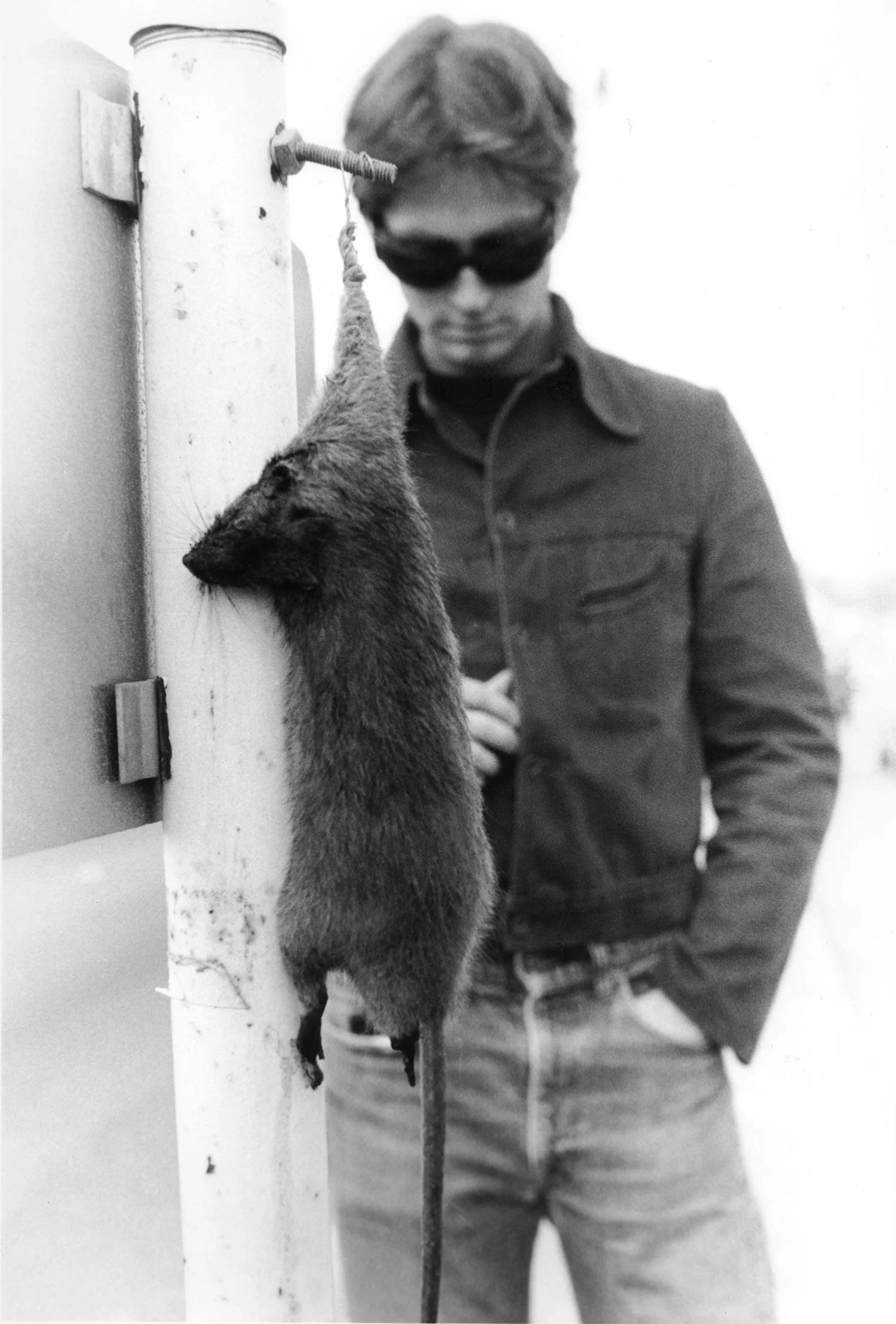 Mike Shannon, Dead Rat, Guerrero Street