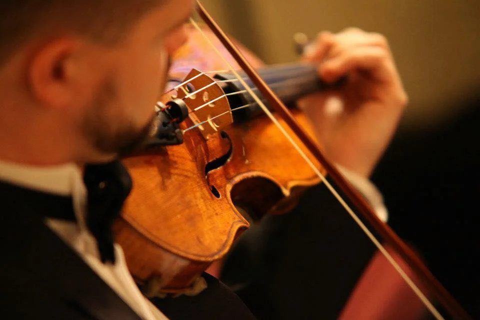 carey lewis private event musician.jpg