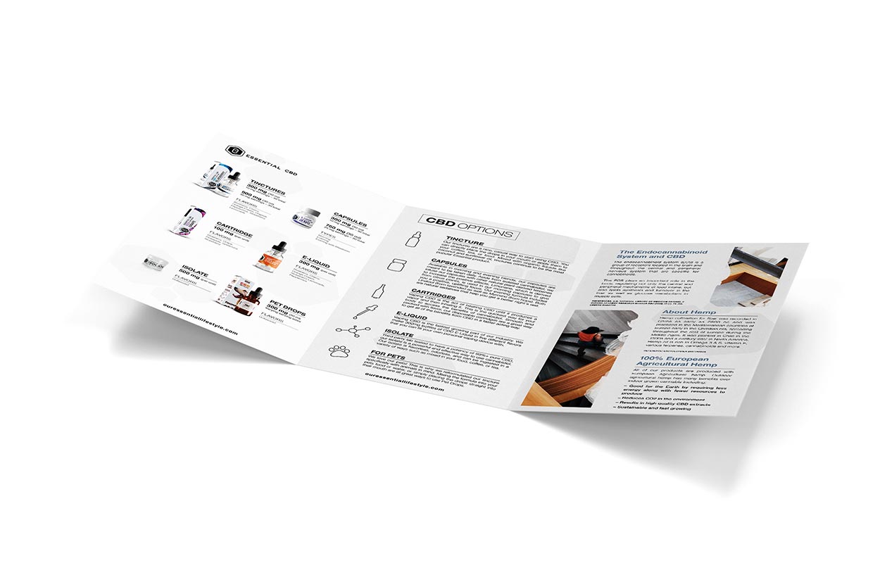 Informational tri-fold brochure design for business.