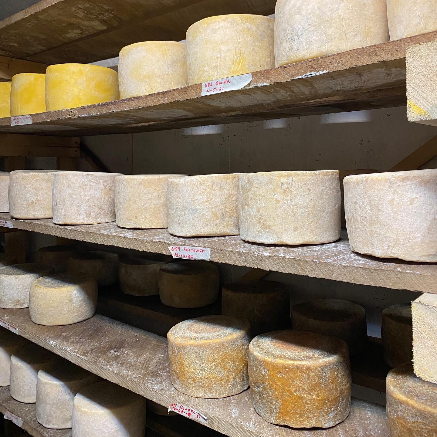 #cheesecave @skyviewfarmandcreamery 
. Perfect side-trip on our brief, rural KS #vaccication And wonderful #artisinal #rawmilkcheese to boot!
.#gouda #smokedgouda #himmelsburg #montasio #rawmilk #jerseymilk #agedcheese