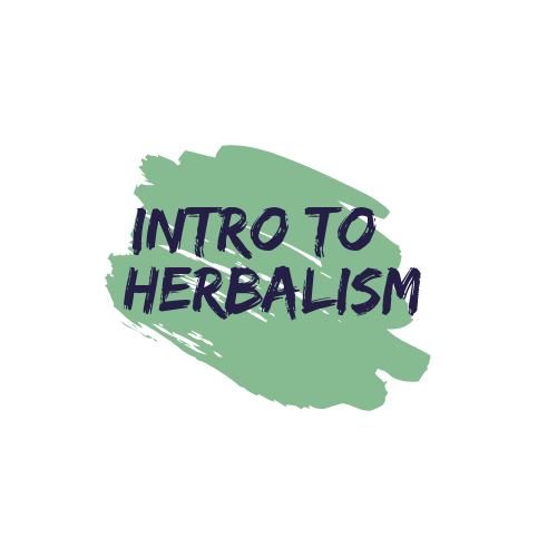 intro to herbalism.png