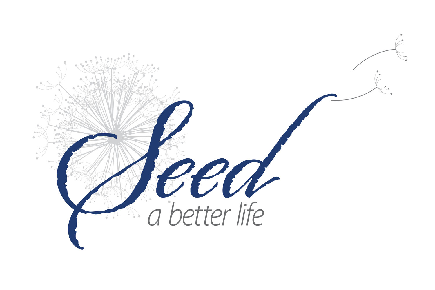 SEED A Better Life