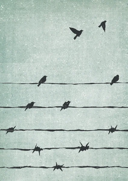 Image: Davide Bonazzi