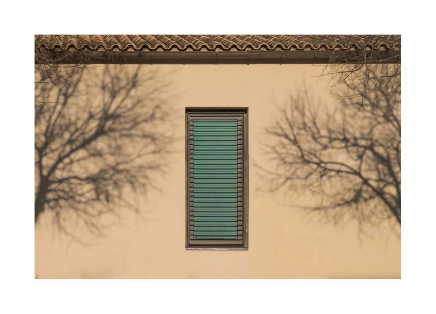dos arbres frame 8.jpg