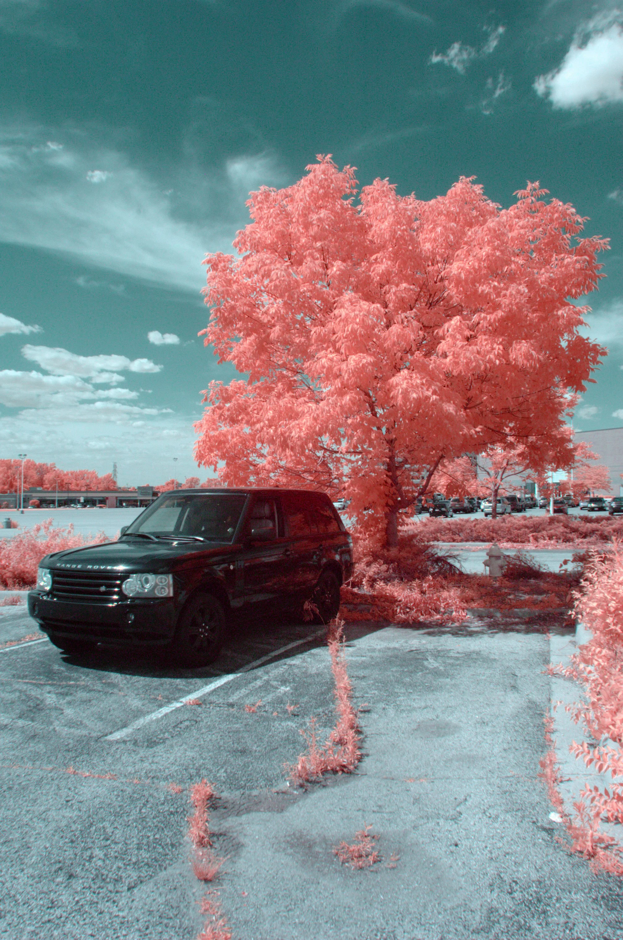 Image: Chris Riehm