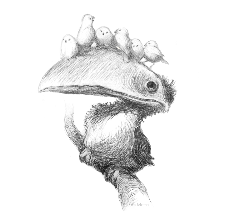 Toucan_Mache.jpg