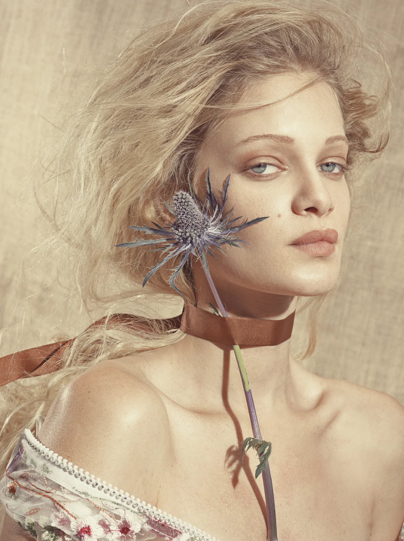 delicate web-17.jpg