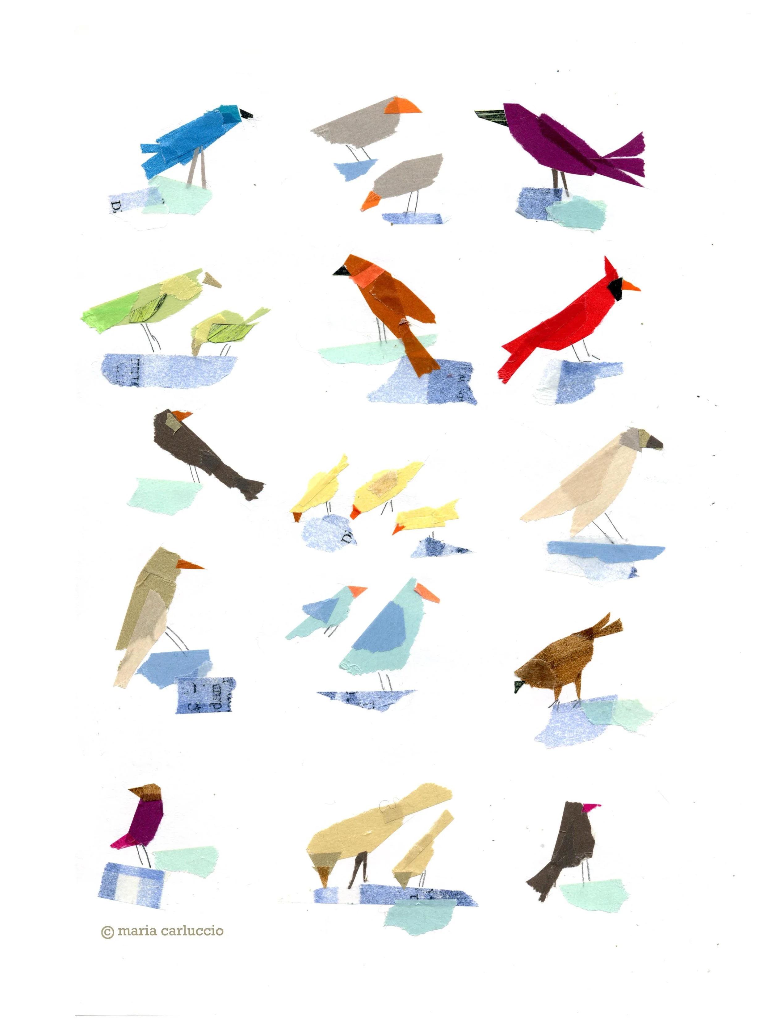 71. bird studies 2.jpg