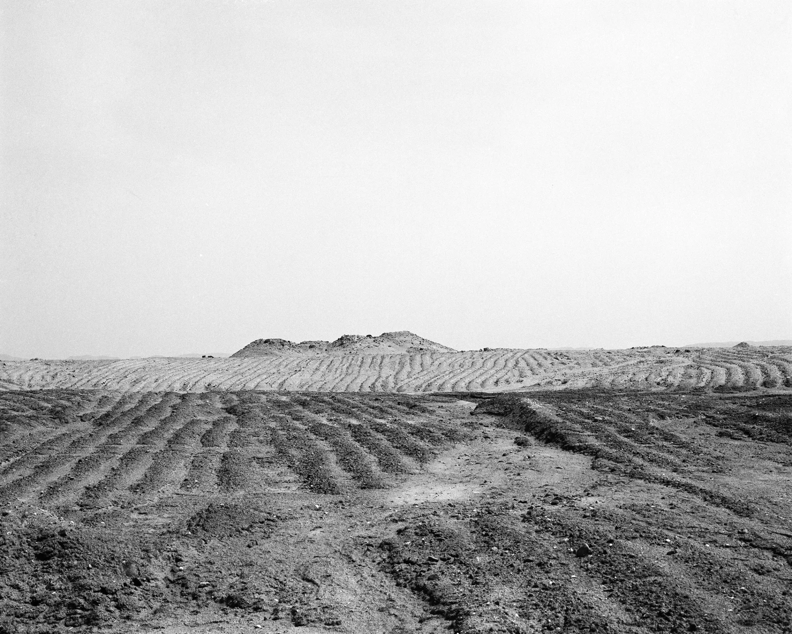 Image 7.jpg