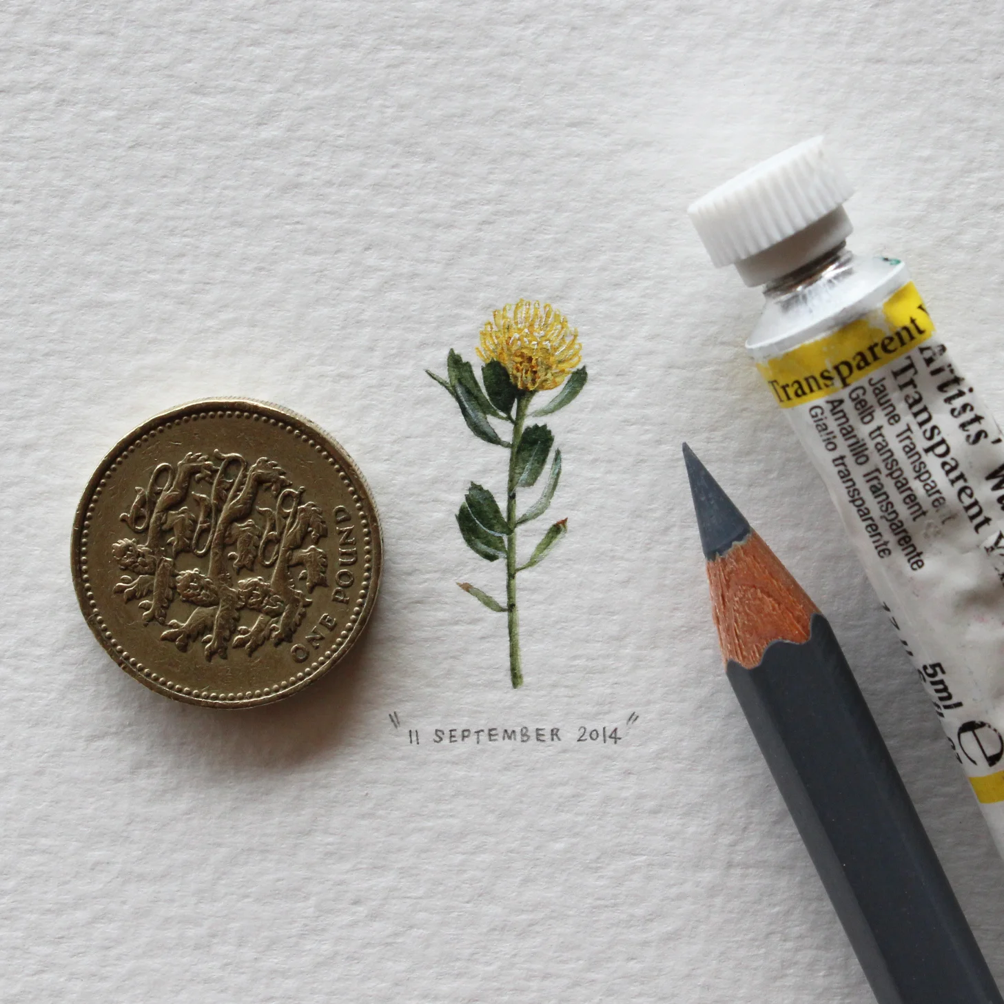 Image: Lorraine Loots