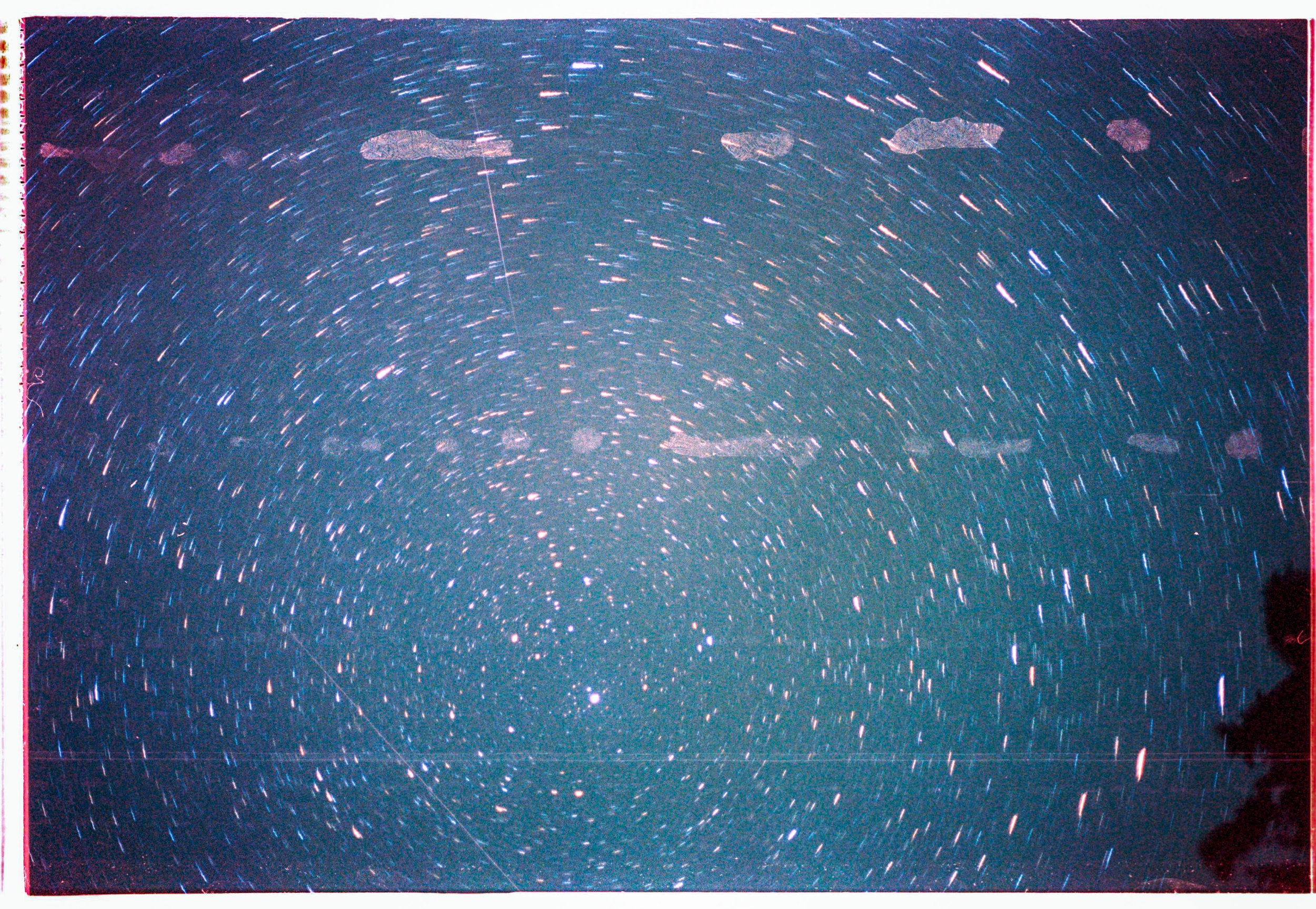 portra 400 1 (3).jpg