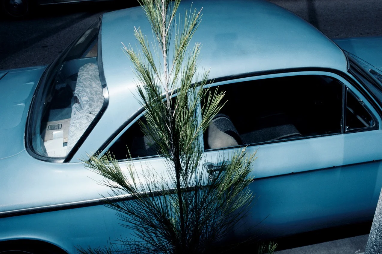voiture 2_2.jpg