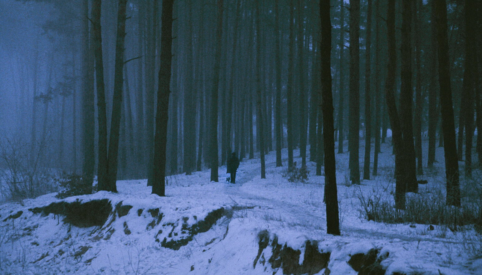 28720015.jpg