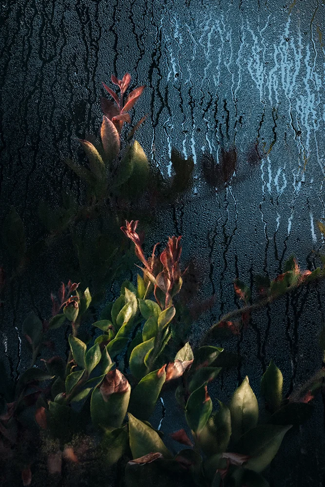 Image: Samuel Zeller