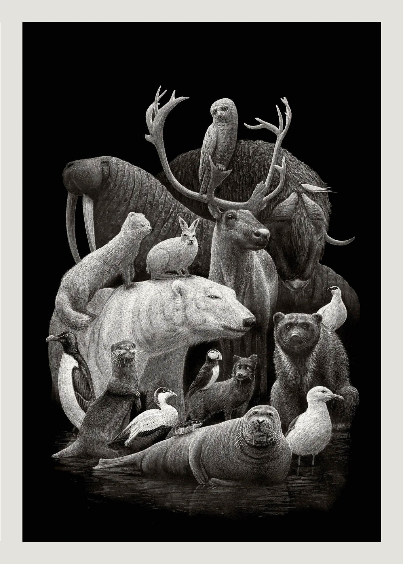Arctic_fauna.jpg