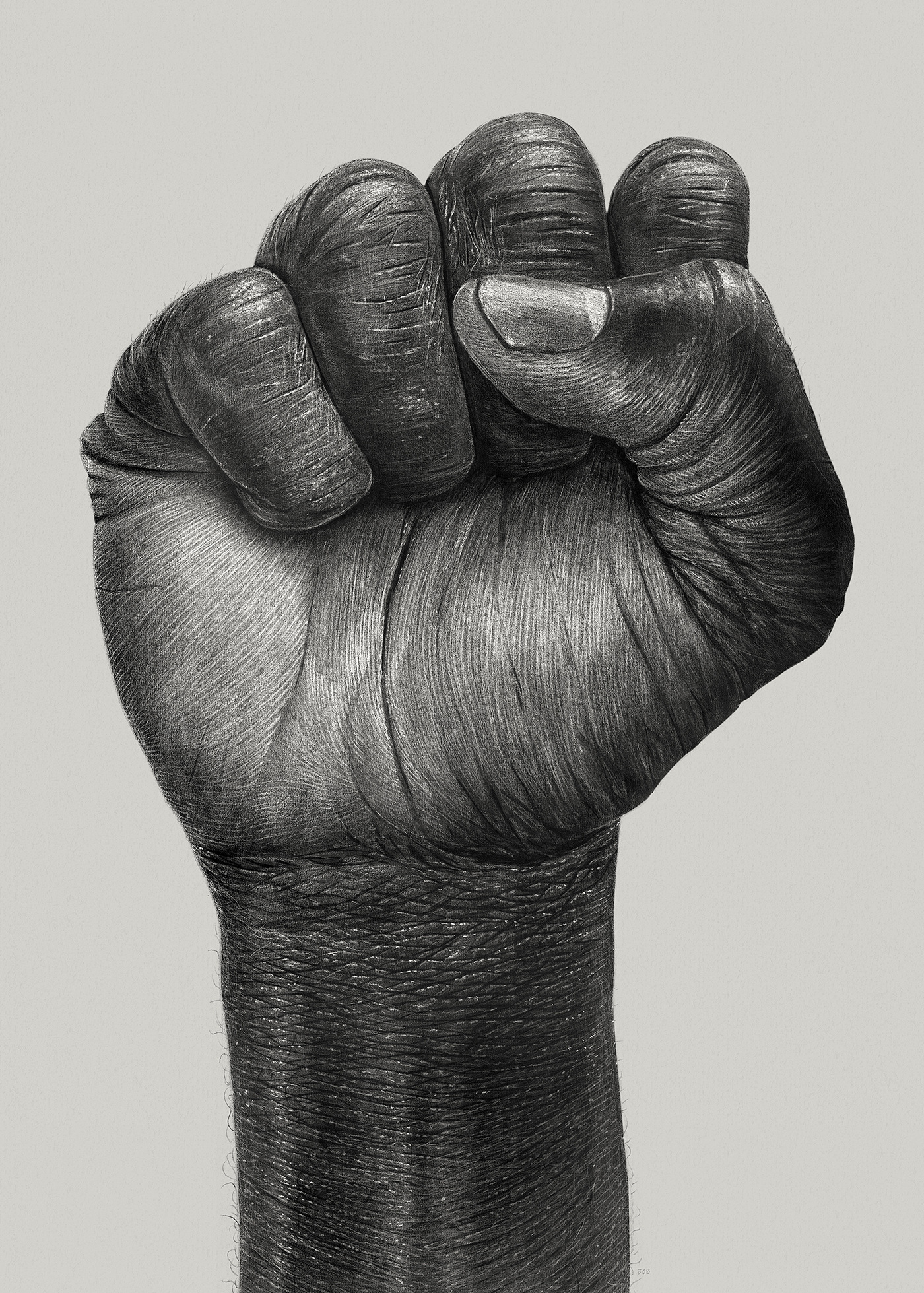 Raised_fist.jpg