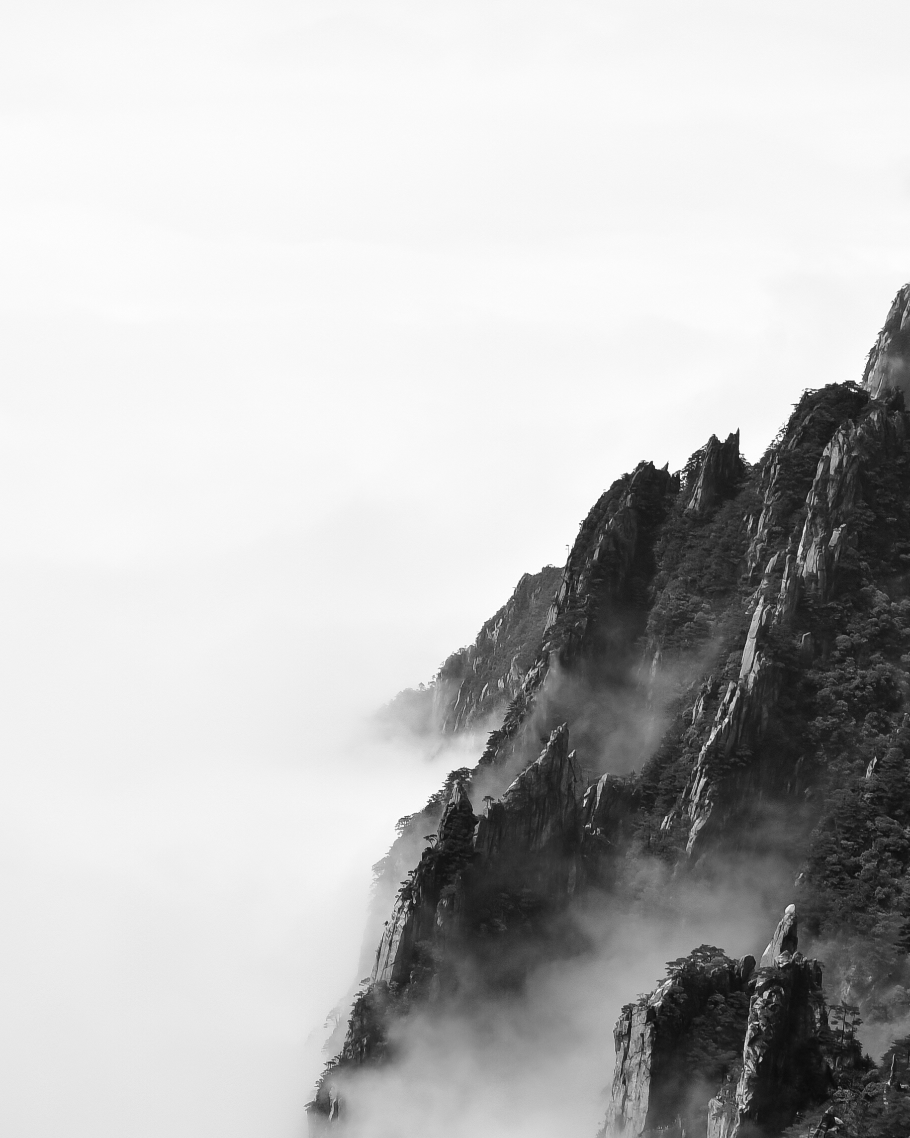 _DSC1503.jpg