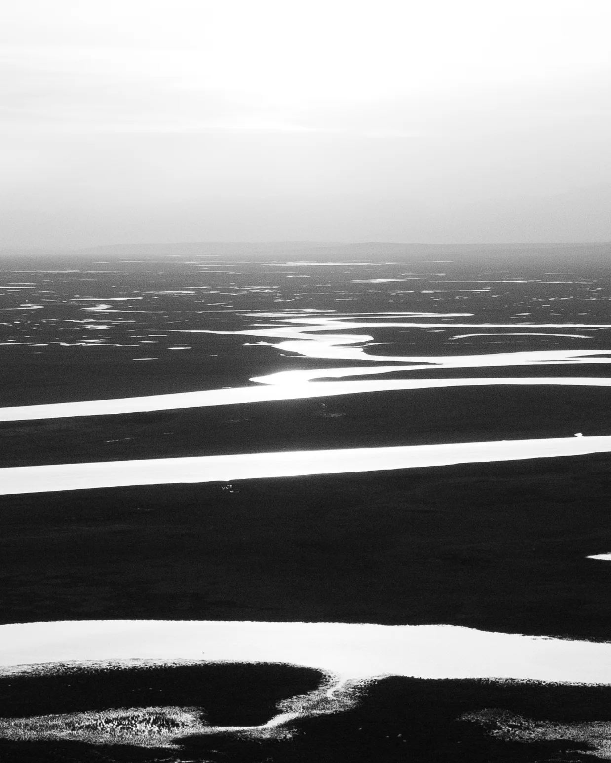 _DSC6157 copy.jpg