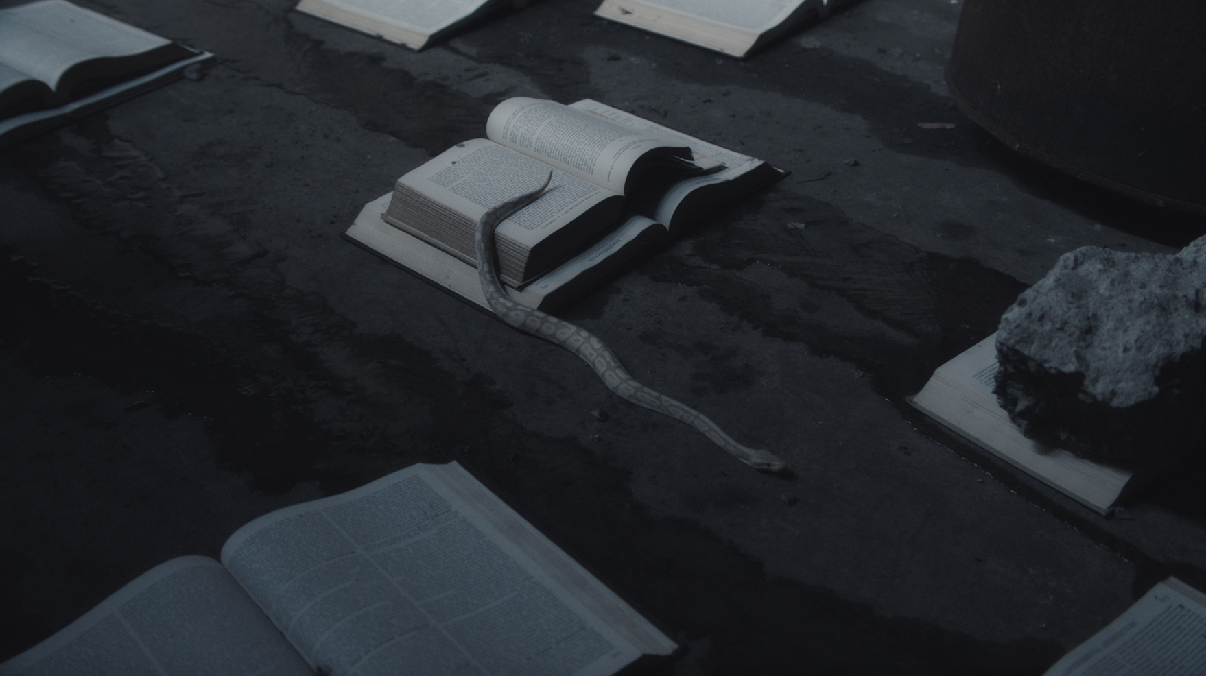 Screen Shot 2018-04-29 at 9.44.20 PM.png