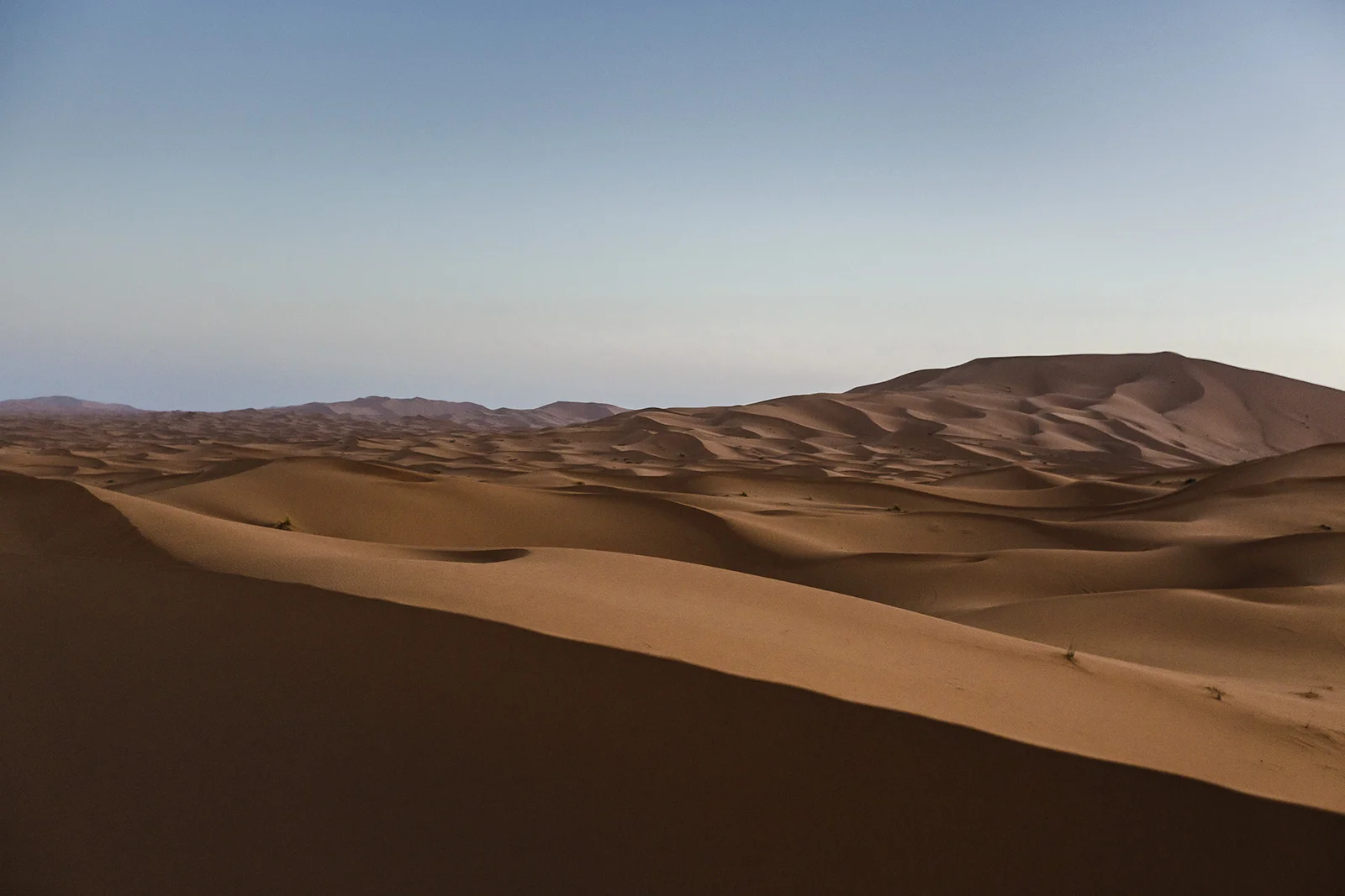 sahara_6am_nunoserrao.jpg