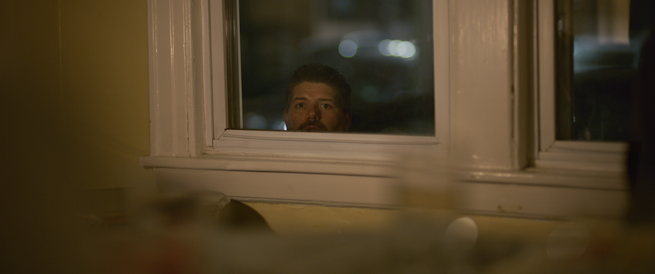 Sundays_leo_window.png