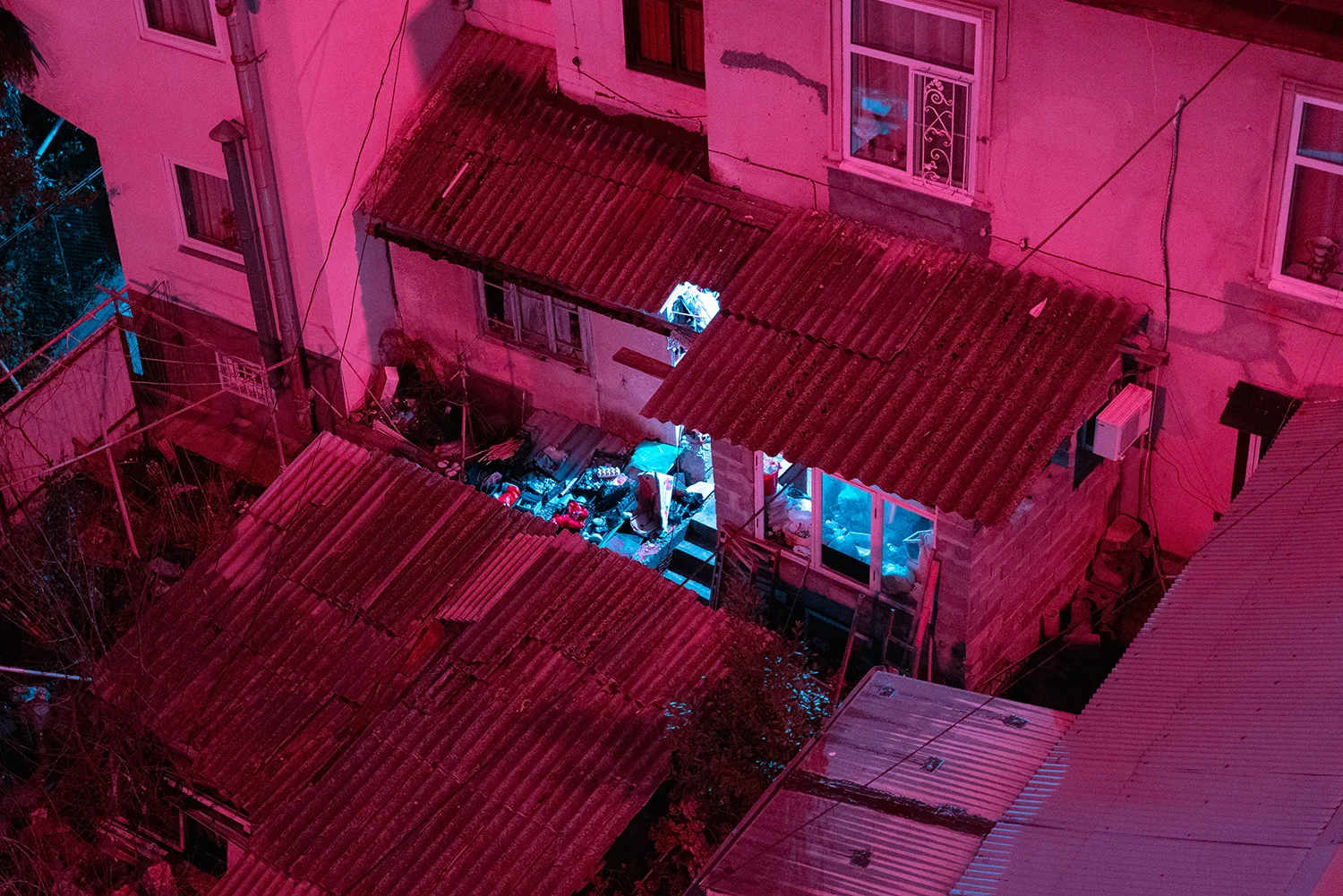 GO PINK _ PURPLE NIGHT 0000_17 1500.jpg