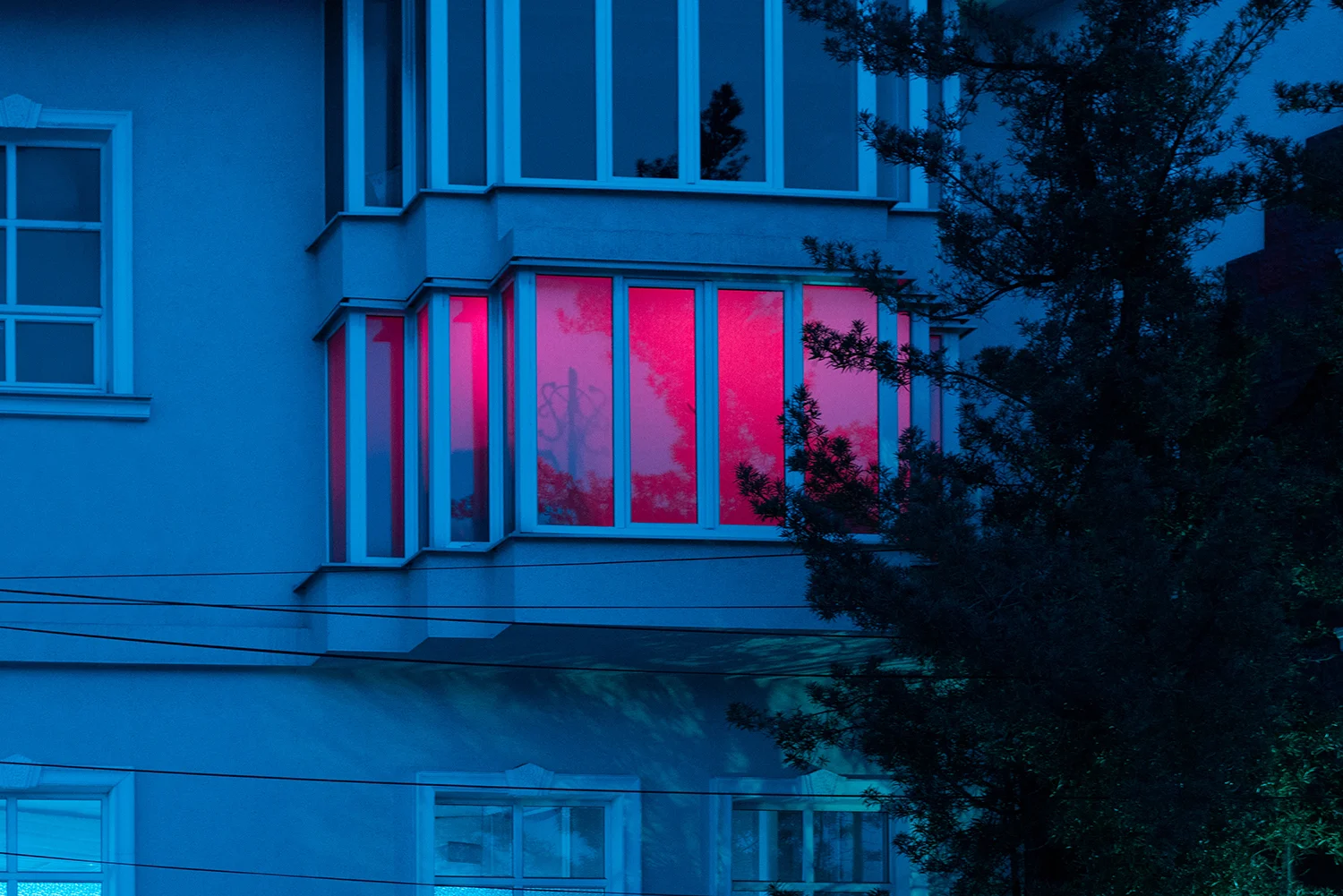 GO PINK _ PURPLE0 1500.jpg