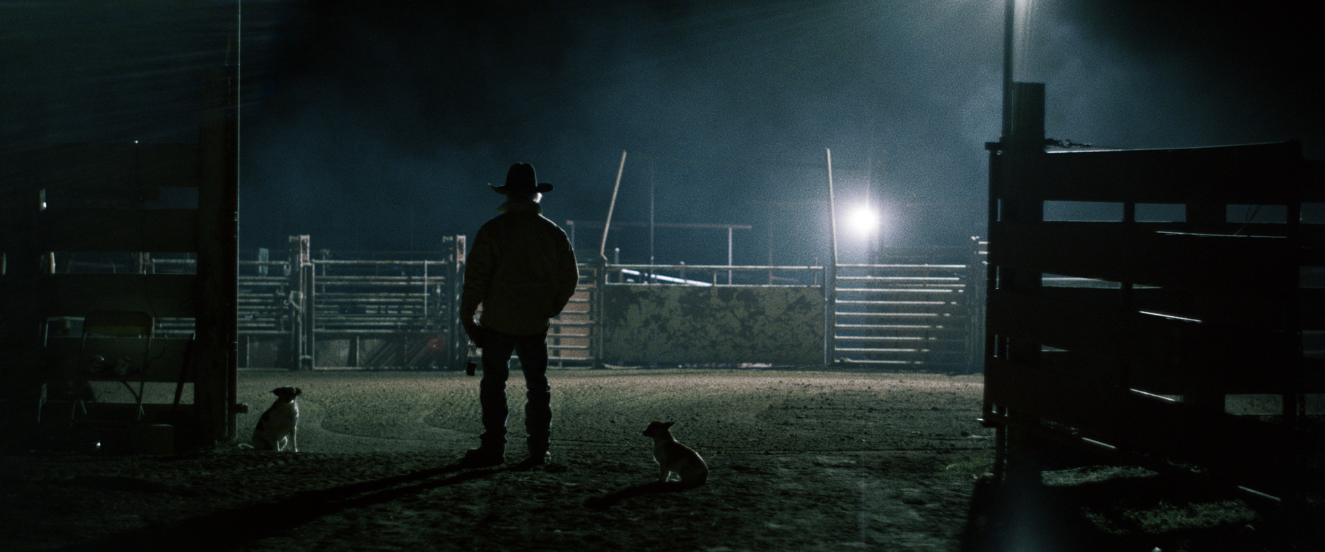 Bull Rider.jpg