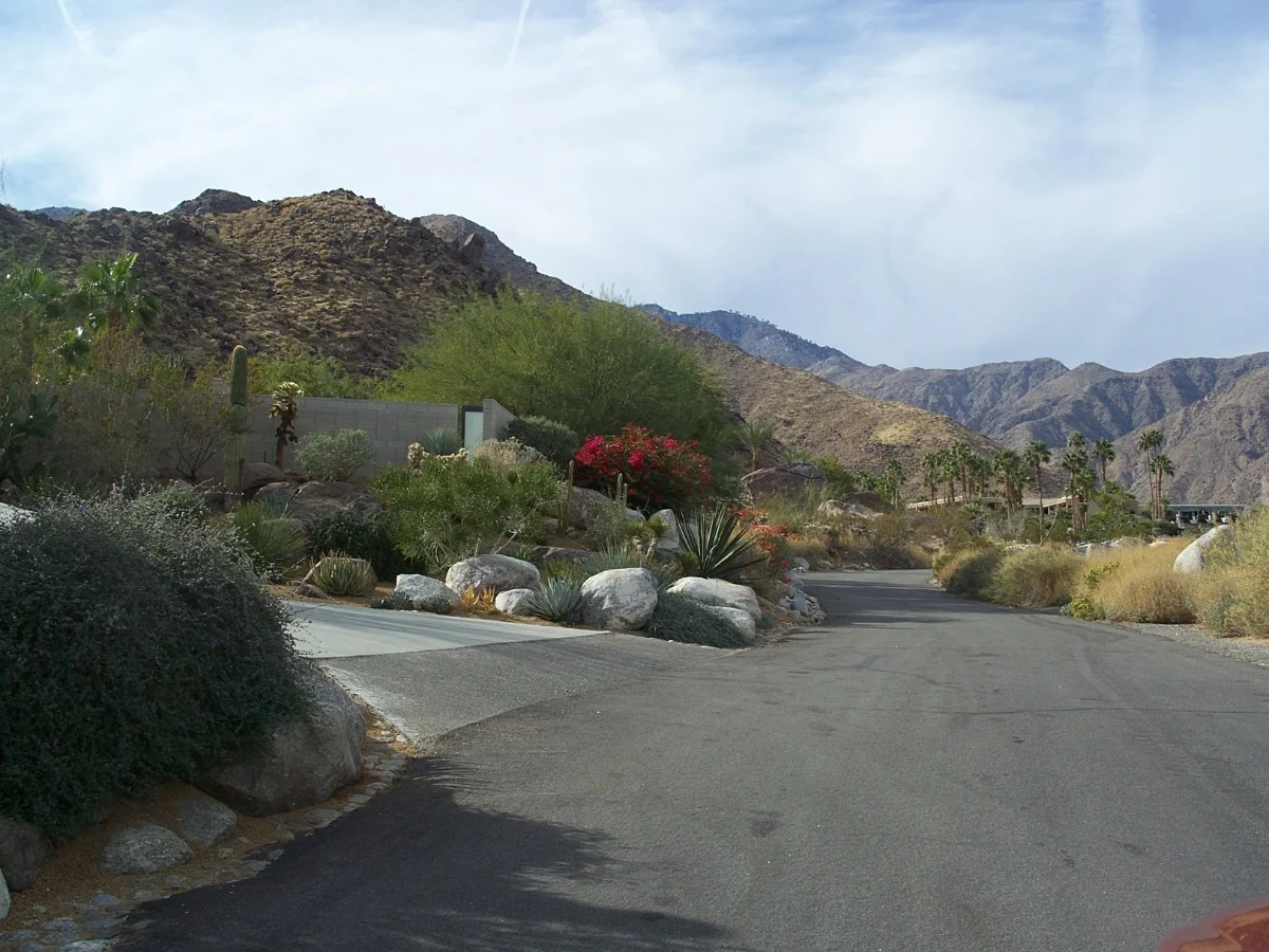 palm springs house & mtn.jpg