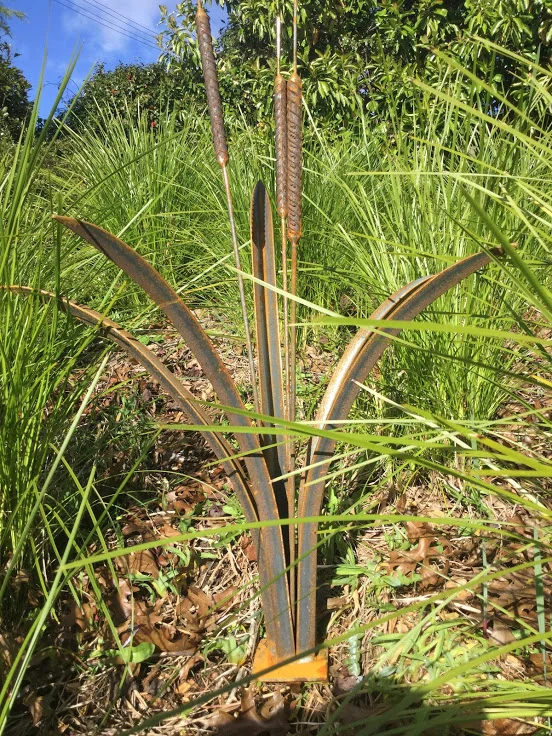 RAUPO REED or BULLRUSH PLANT 