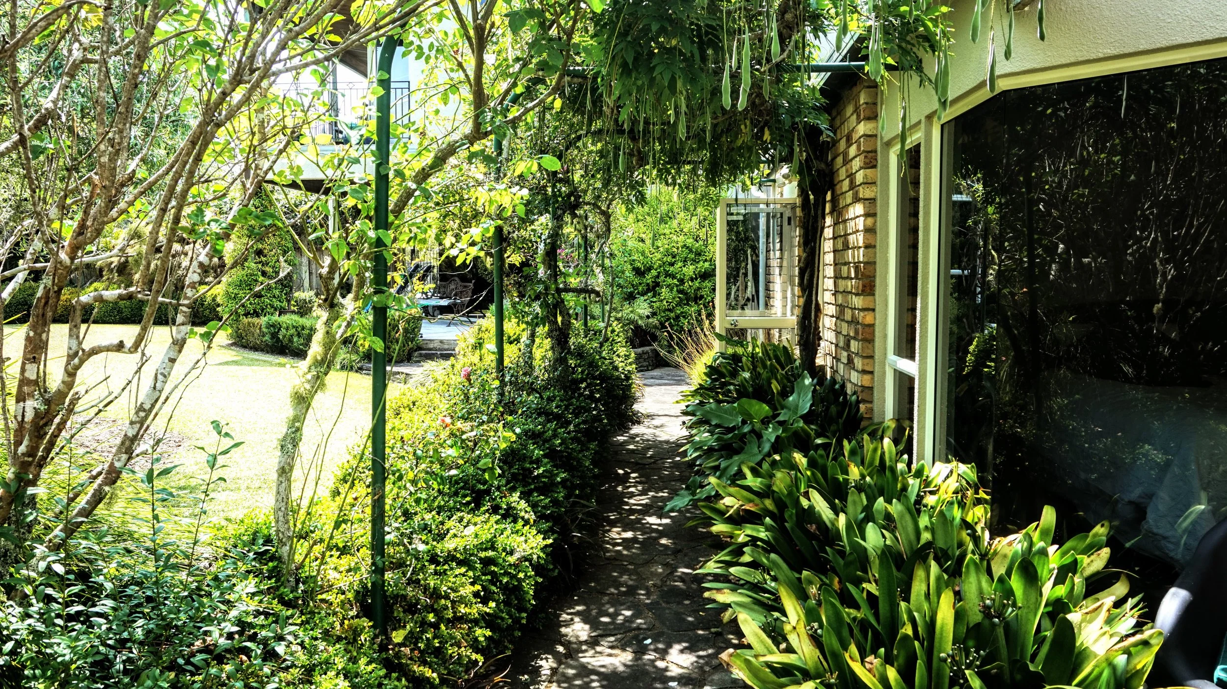 Homestay path lighter .JPG