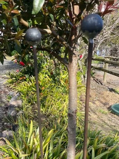 Stake -  Ball topped stake,  40mm plain ball. These look great in the garden  and ideal plant support  - $21 ea
