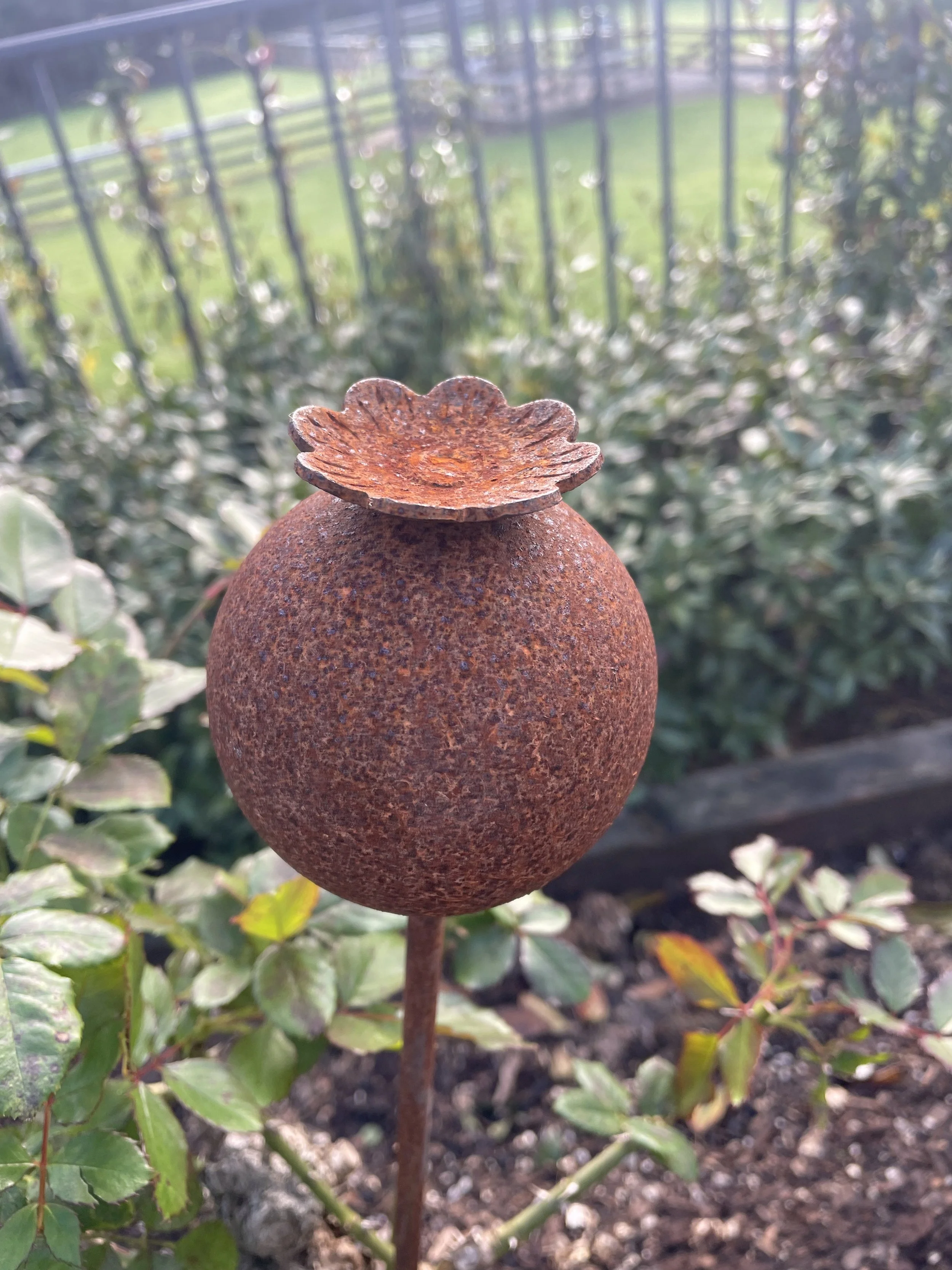 Stake - Opium Poppy  -  $48