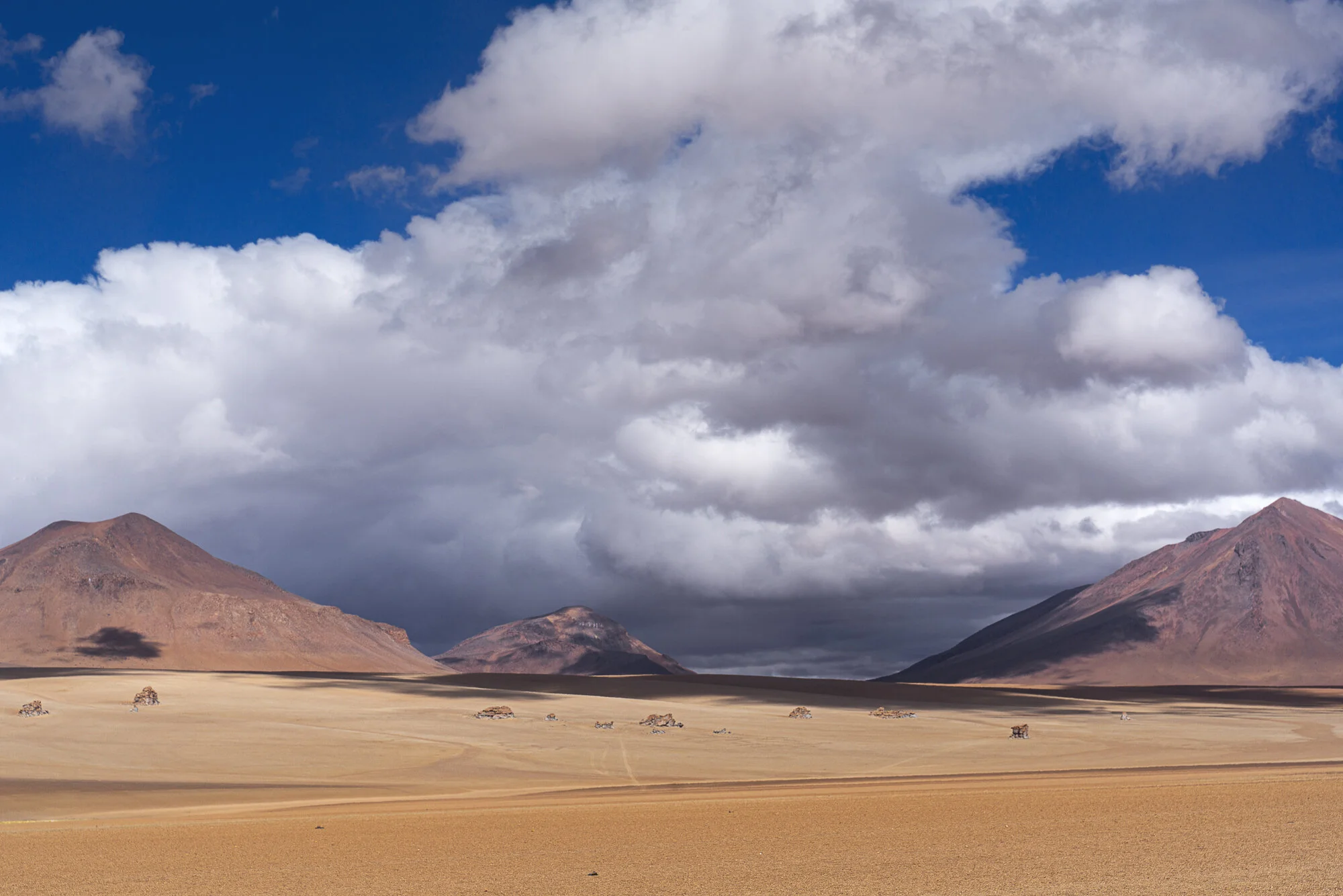 untitled-20190508-24-Edit-Edit.jpg