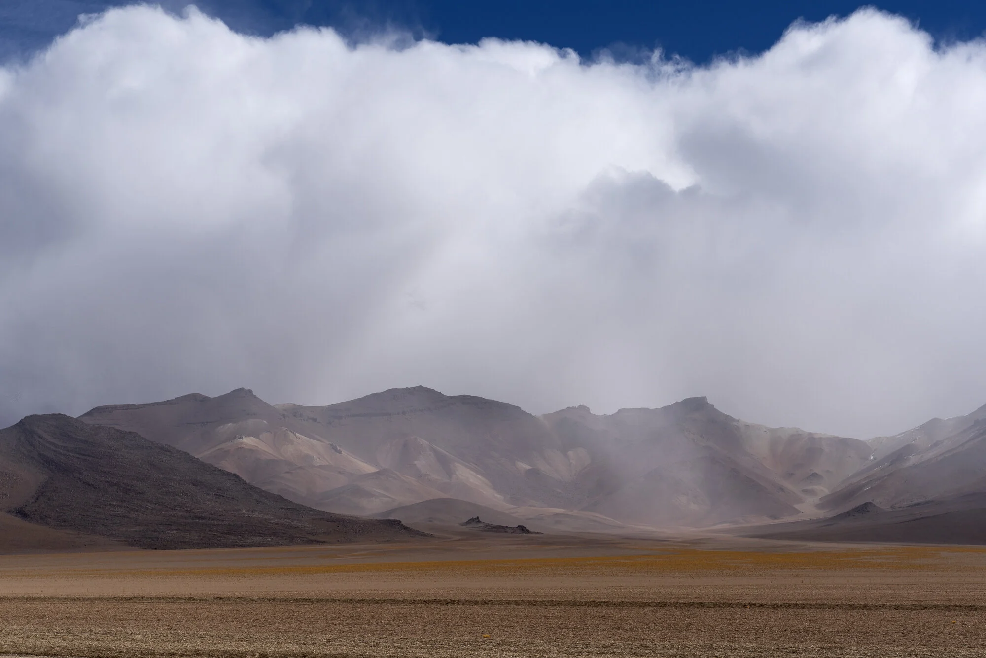 untitled-20190508-26-Edit.jpg