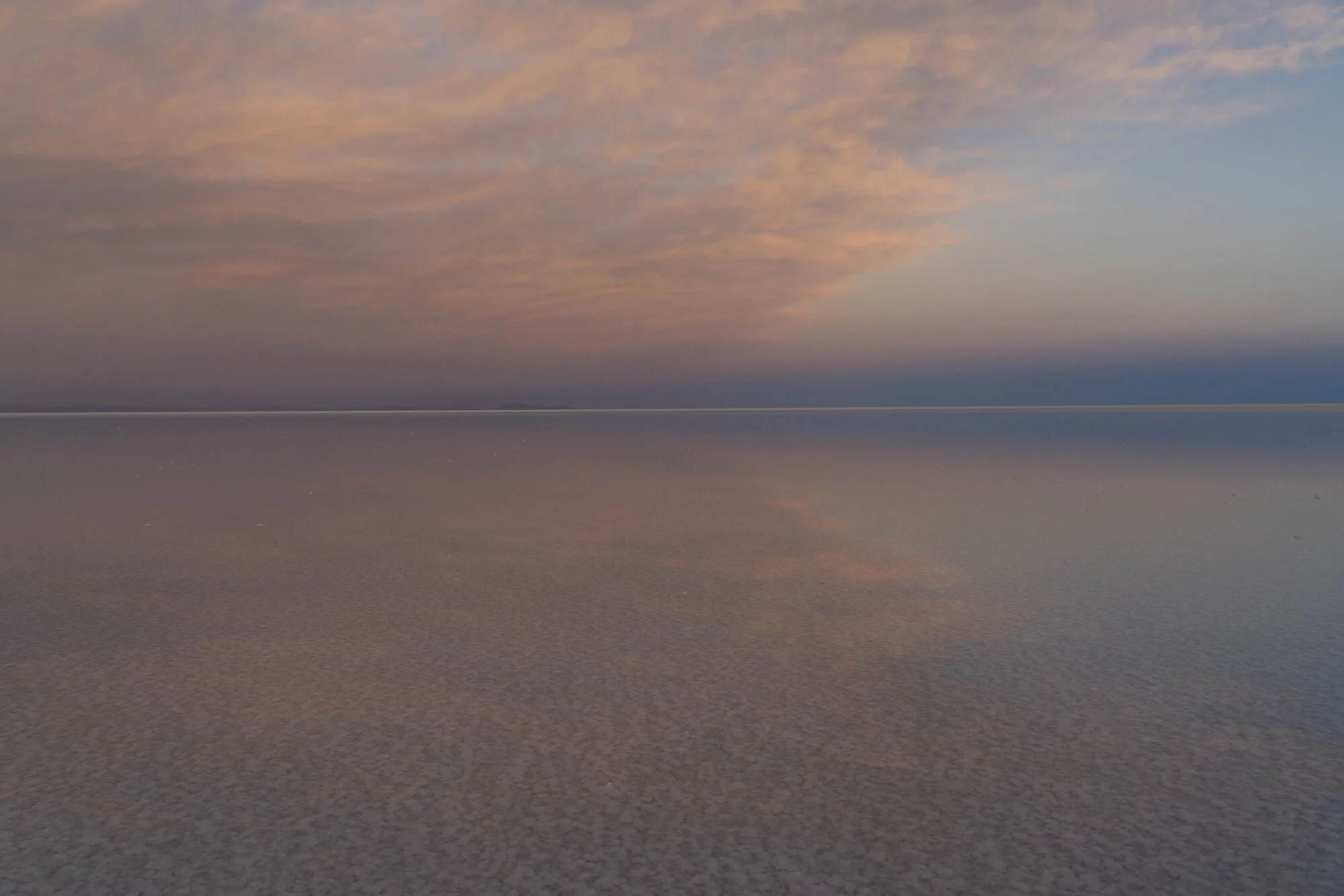 untitled-20190510-34.jpg