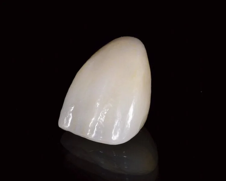 Product Catalog — MicroDental Las Vegas