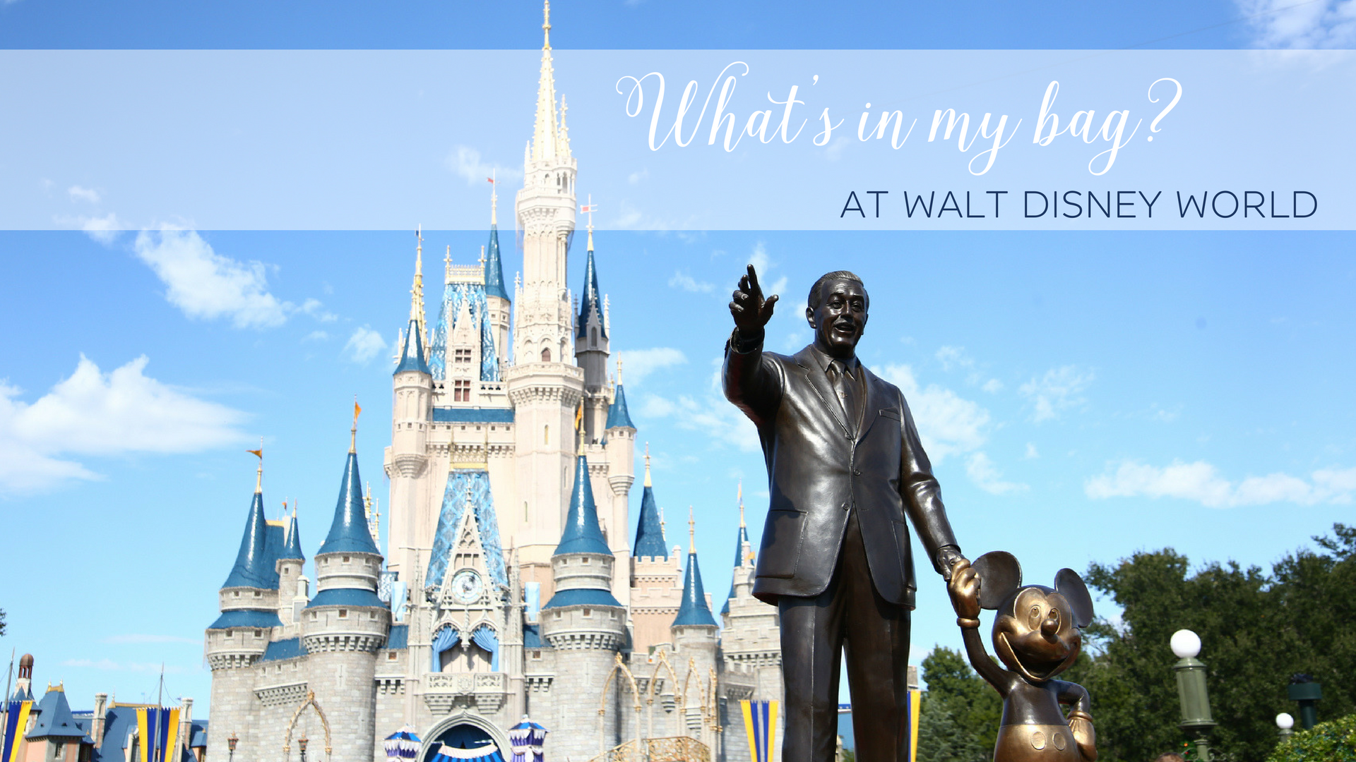 What's in my bag? At Walt Disney World