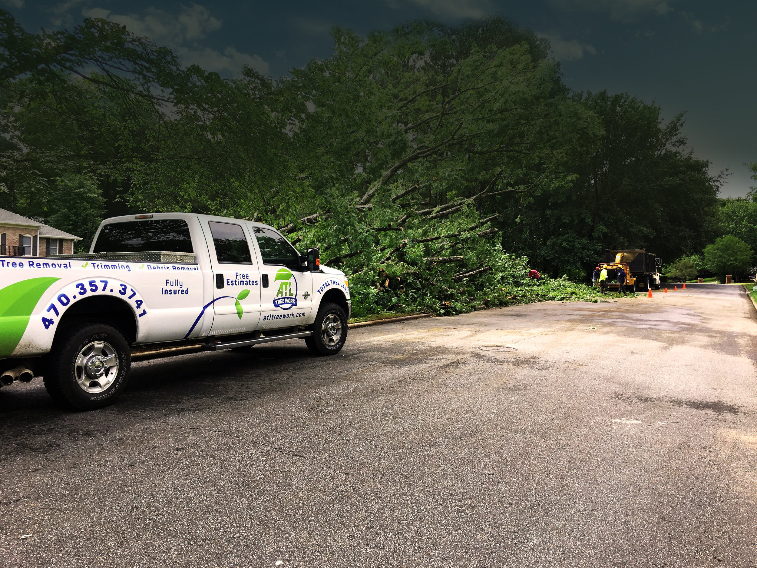atlanta reamoval_atl tree work copy1.jpg