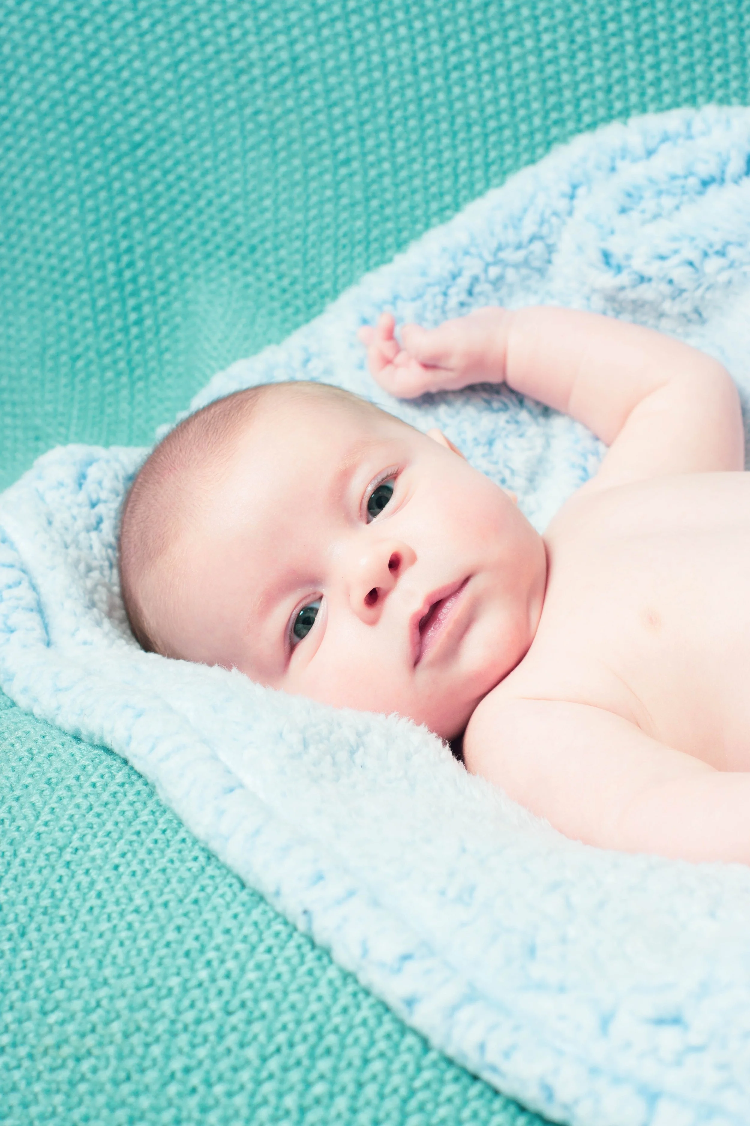 CDB-Newborns-201213-2.jpg