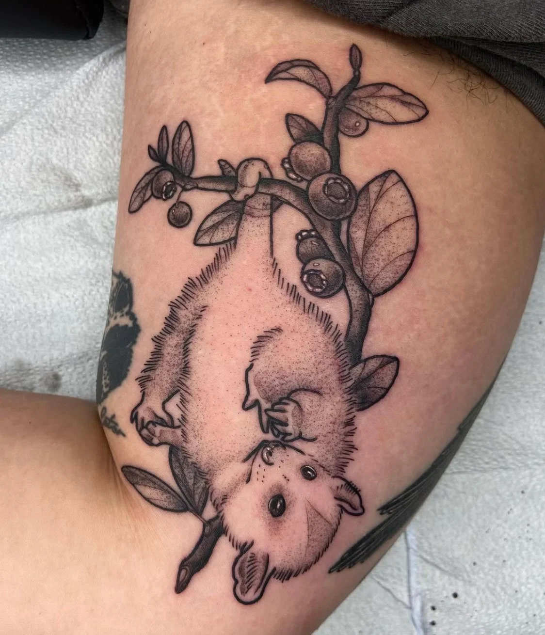 possum-tattoo.jpg