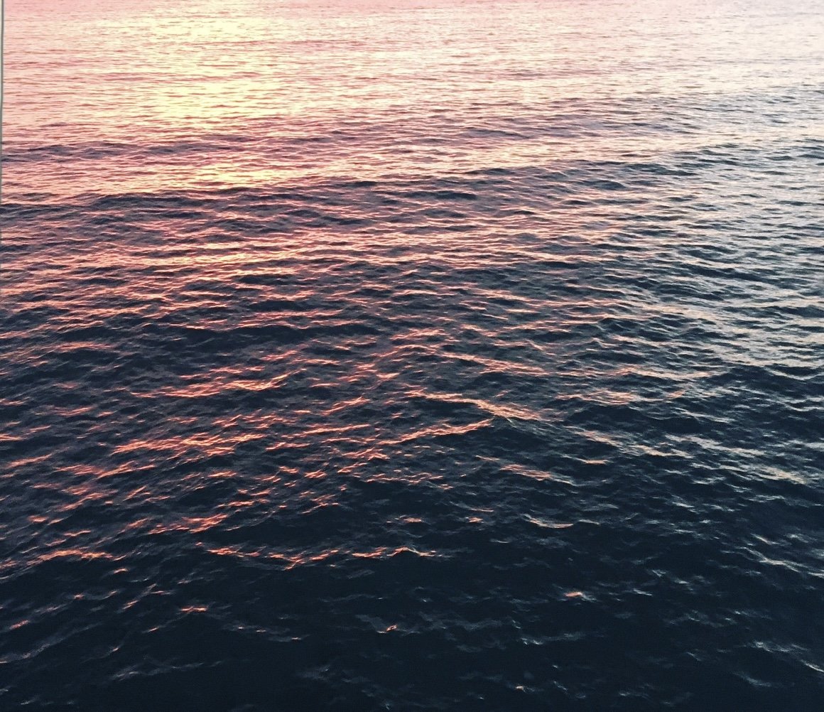 IMG_7344.jpeg
